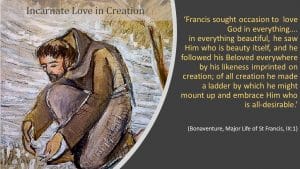 Incarnate Love in creation