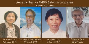 Singapore FMDM deaths